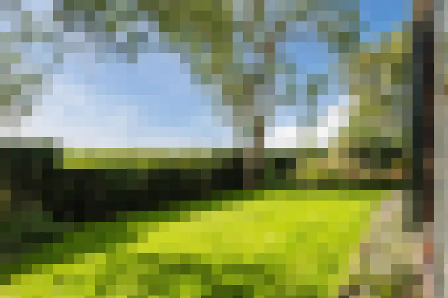 De Hooislagen 4 Dalfsen thumbnail 67
