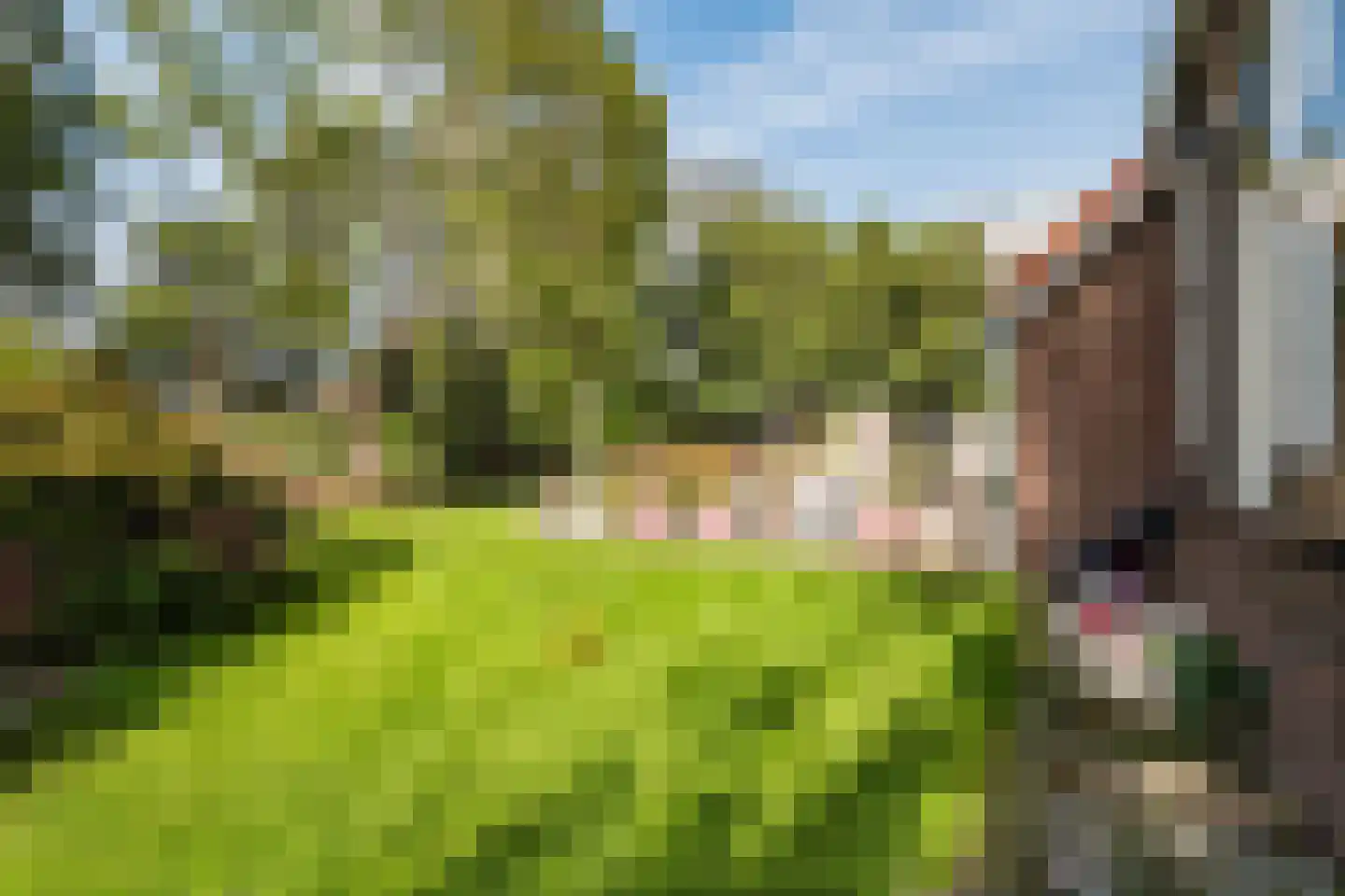 De Hooislagen 4 Dalfsen thumbnail 68