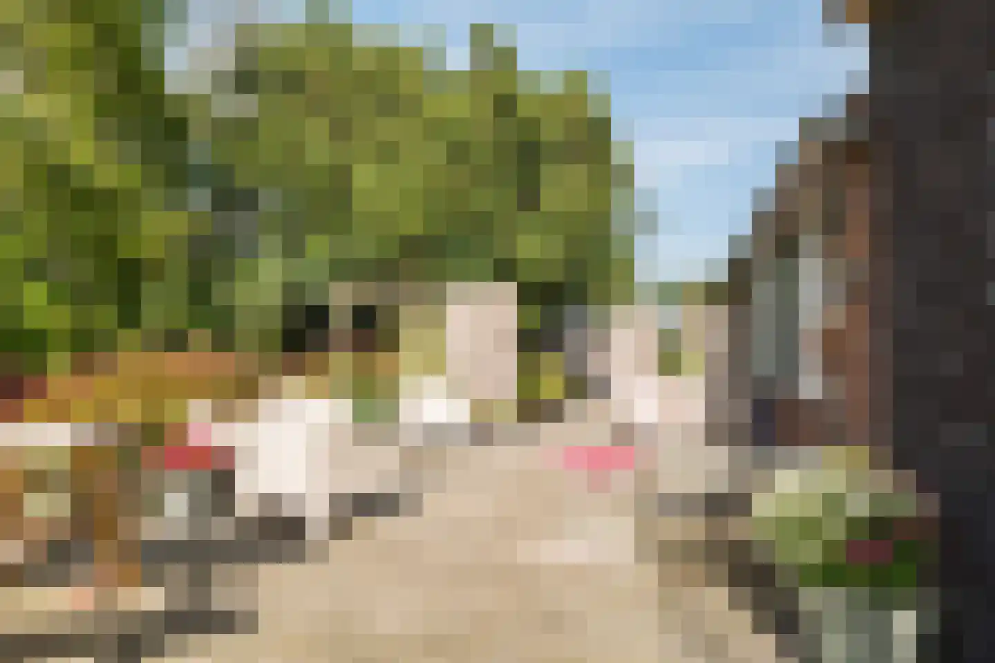 De Hooislagen 4 Dalfsen thumbnail 69
