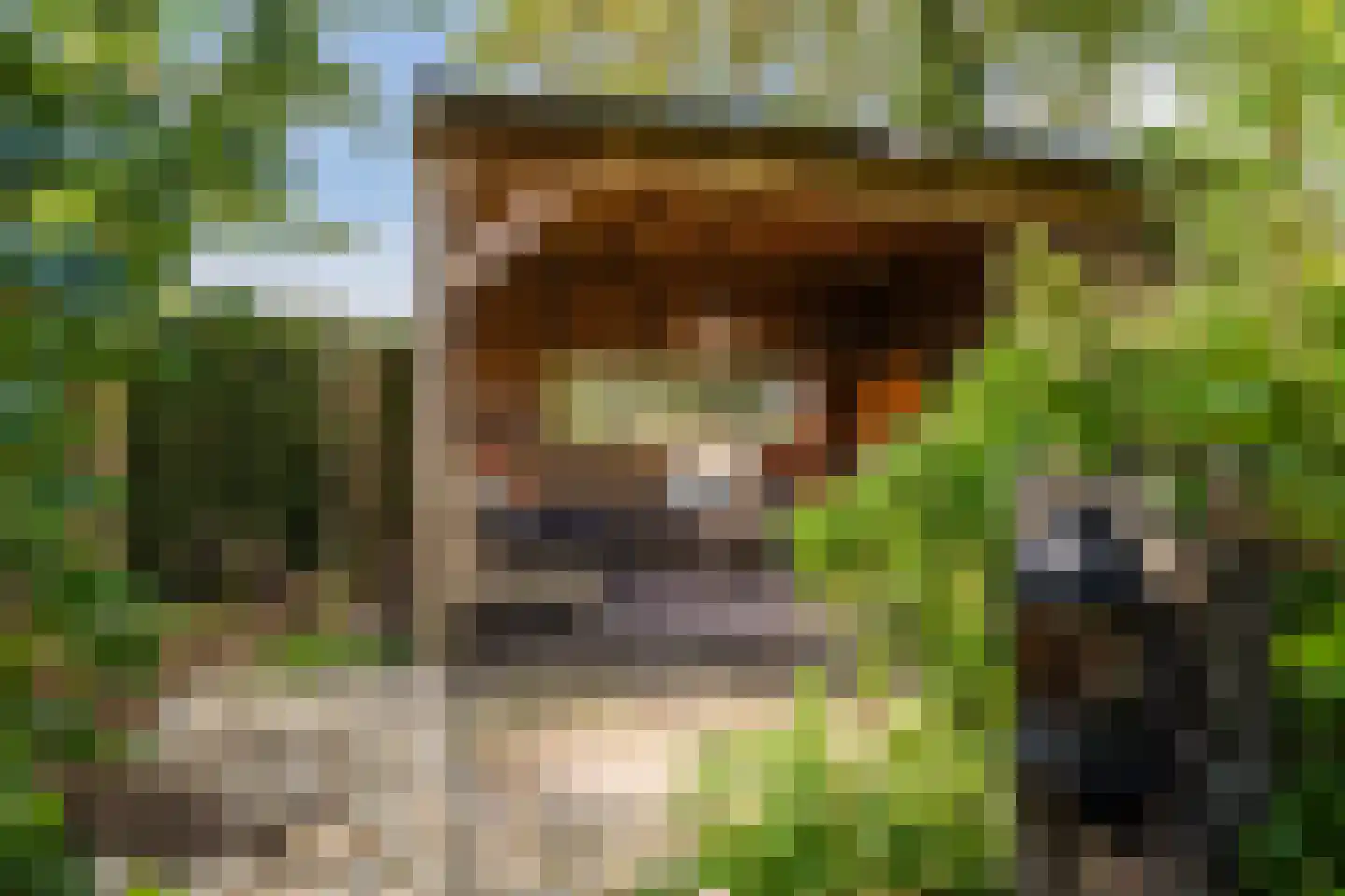 De Hooislagen 4 Dalfsen thumbnail 71