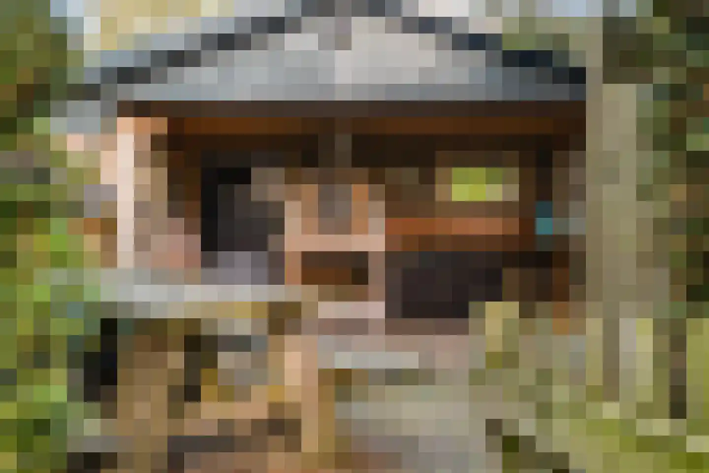 De Hooislagen 4 Dalfsen thumbnail 72