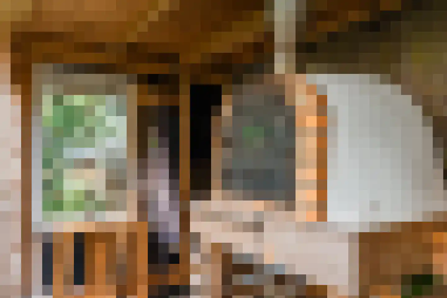 De Hooislagen 4 Dalfsen thumbnail 73