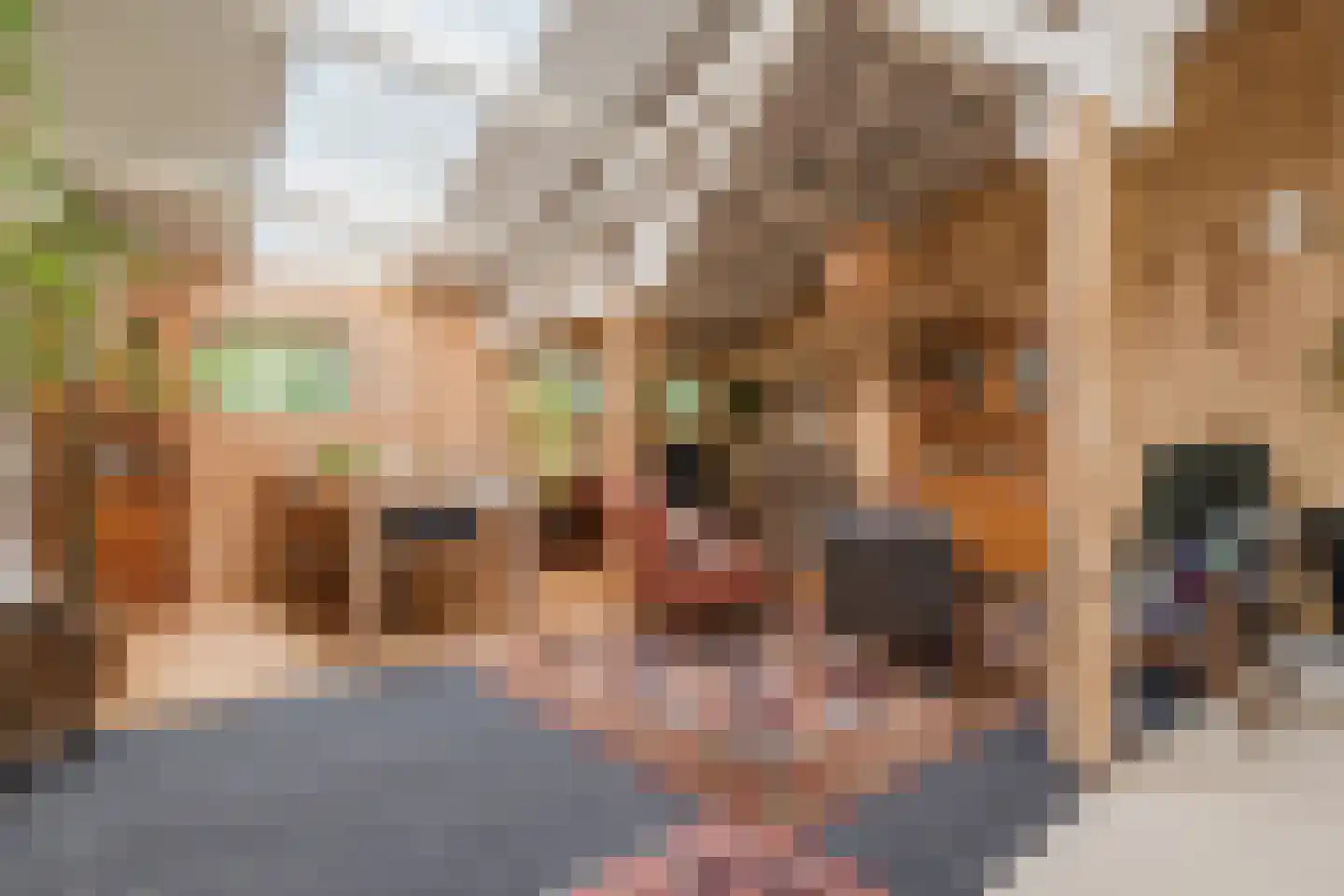 De Hooislagen 4 Dalfsen thumbnail 76