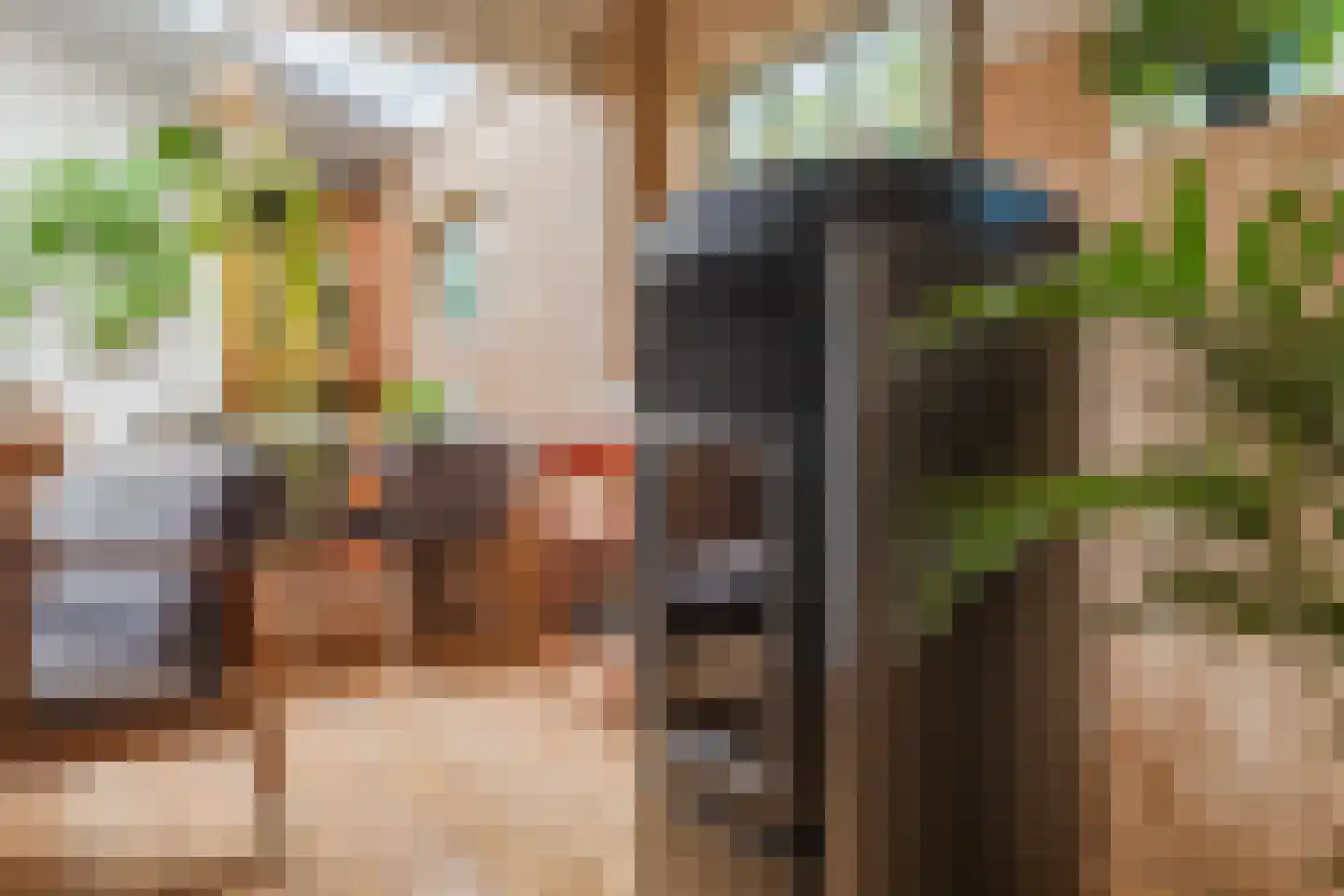De Hooislagen 4 Dalfsen thumbnail 79