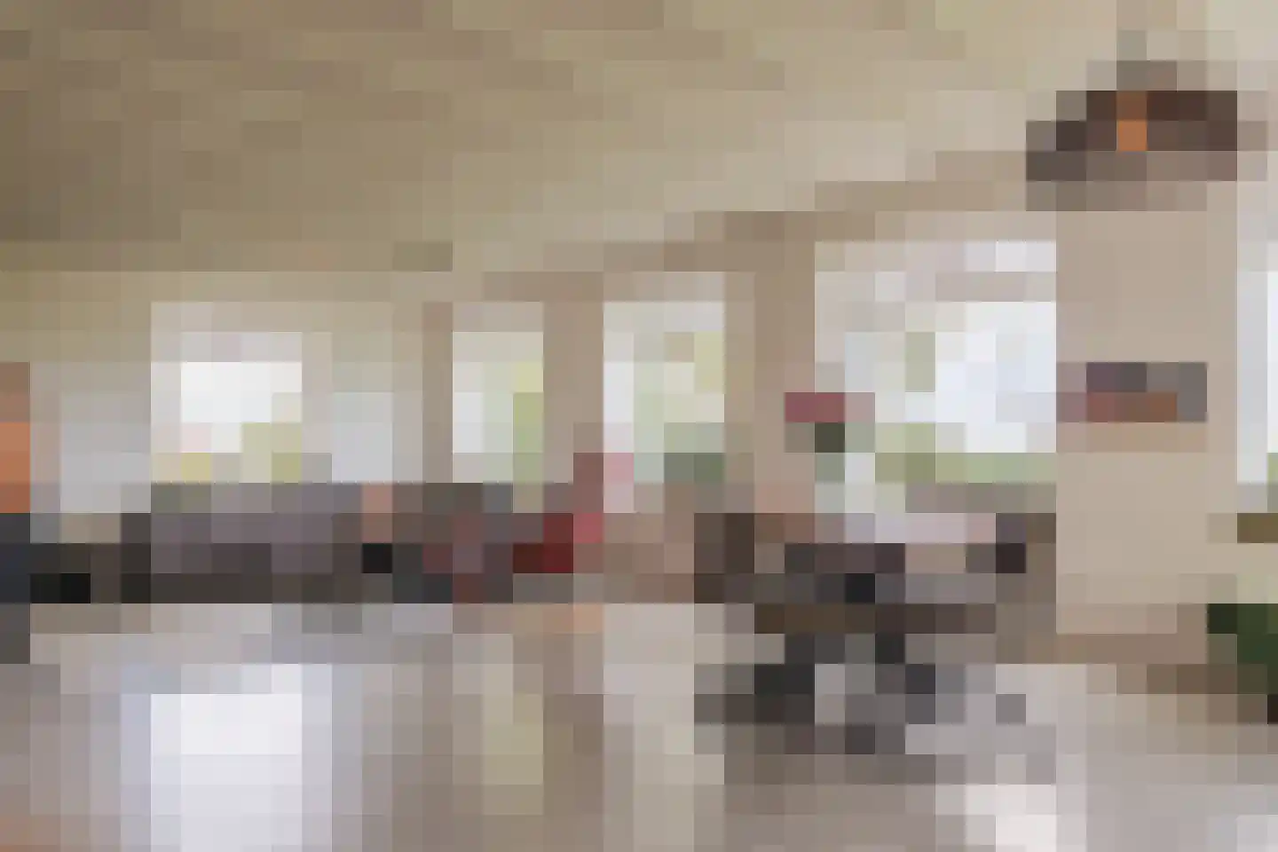 De Hooislagen 4 Dalfsen thumbnail 8