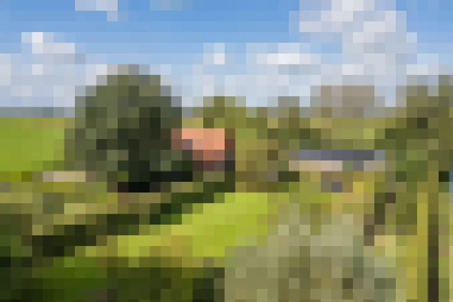 De Hooislagen 4 Dalfsen thumbnail 84