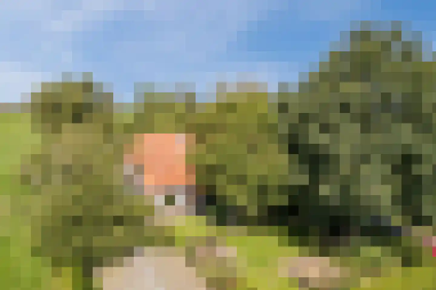 De Hooislagen 4 Dalfsen thumbnail 85