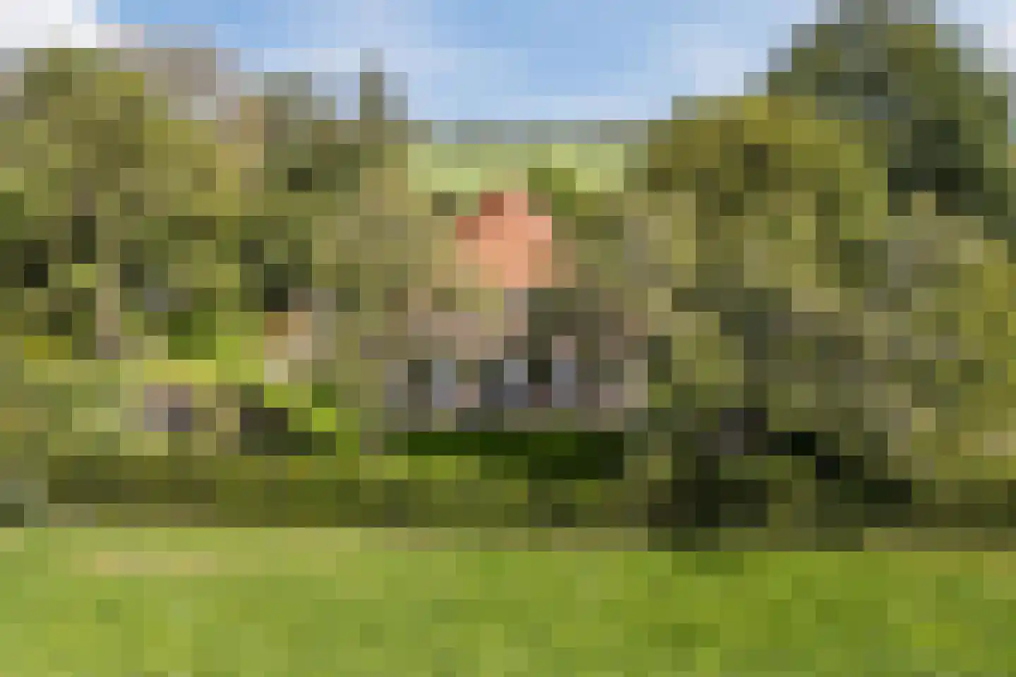De Hooislagen 4 Dalfsen thumbnail 86
