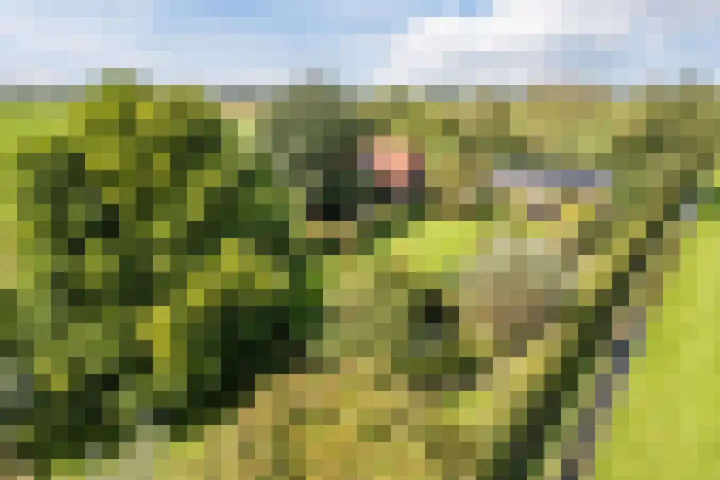 De Hooislagen 4 Dalfsen thumbnail 87