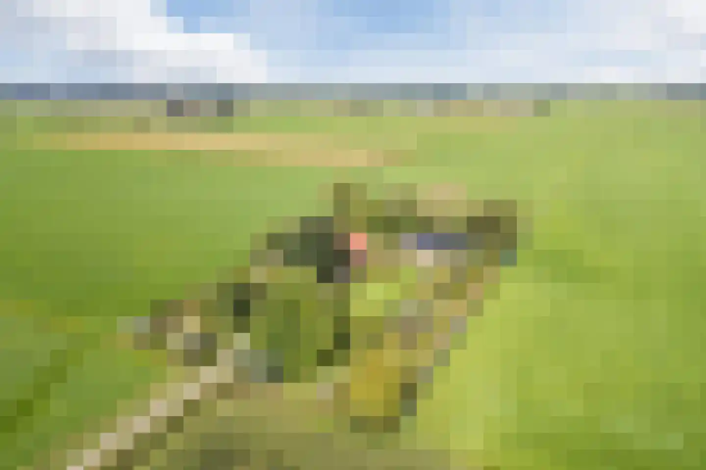 De Hooislagen 4 Dalfsen thumbnail 89