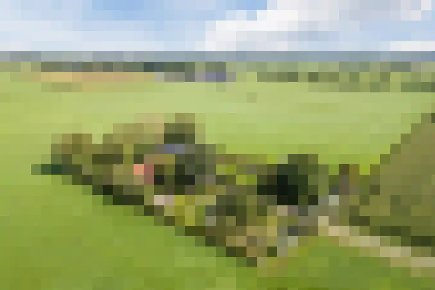 De Hooislagen 4 Dalfsen thumbnail 90