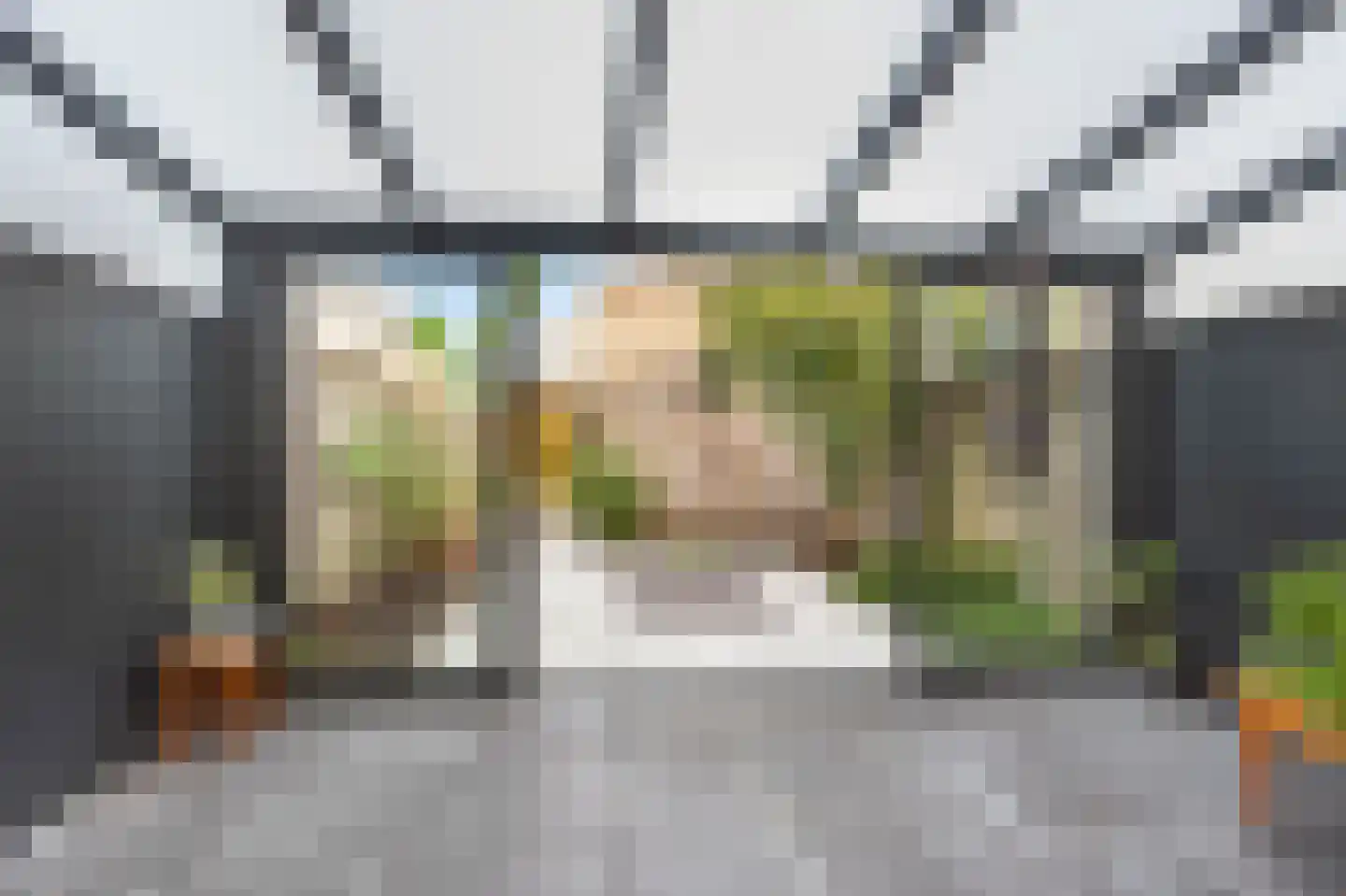 De Hooivork 10 Arnhem thumbnail 24