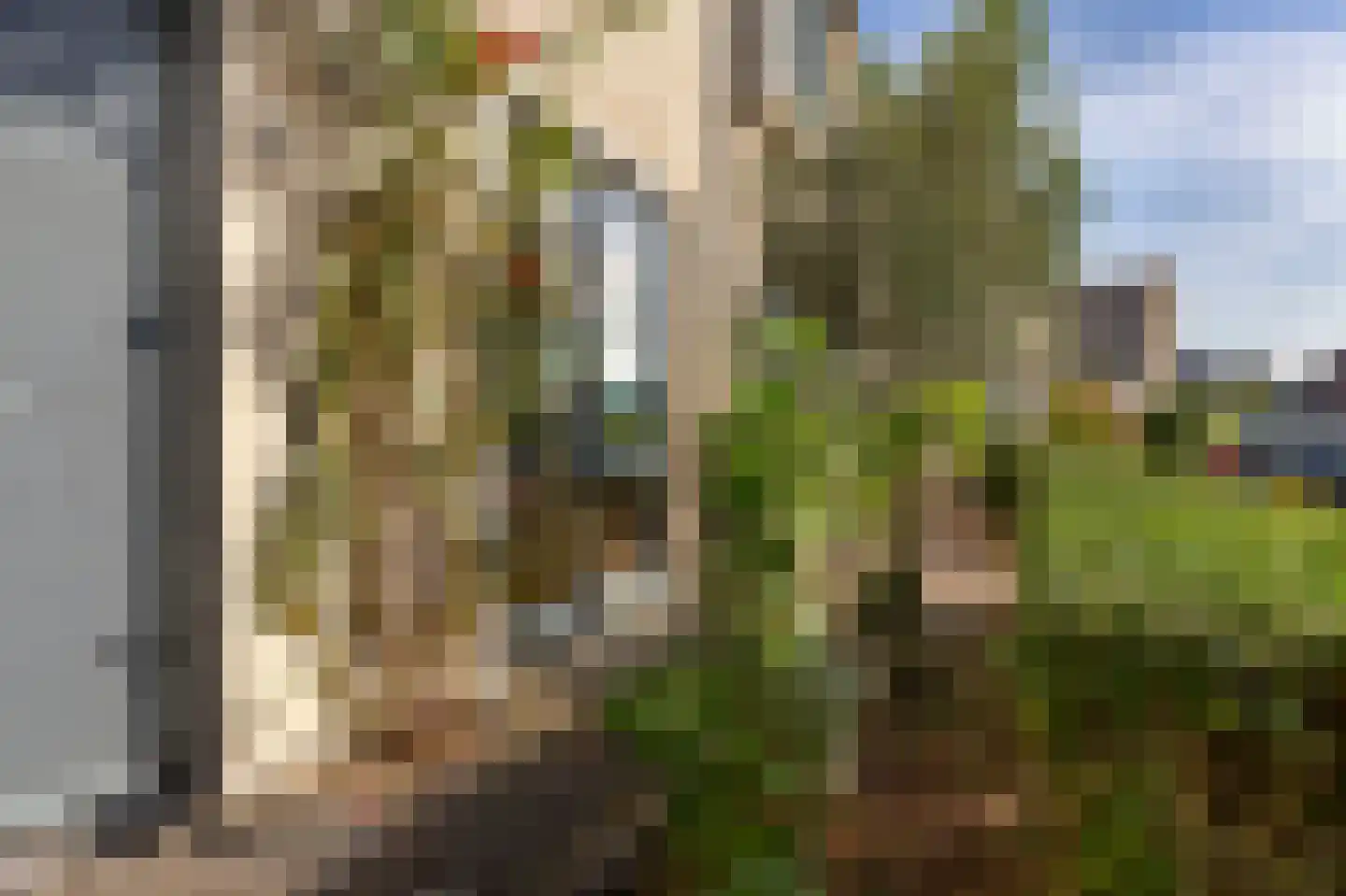 De Hooivork 10 Arnhem thumbnail 28