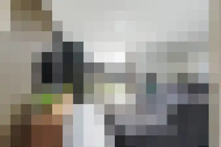 De Hooivork 19 De Moer thumbnail 10