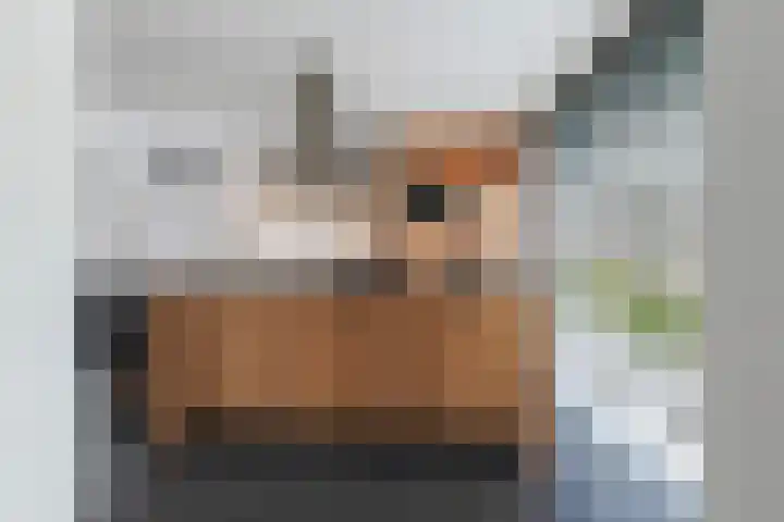 De Hooivork 19 De Moer thumbnail 12