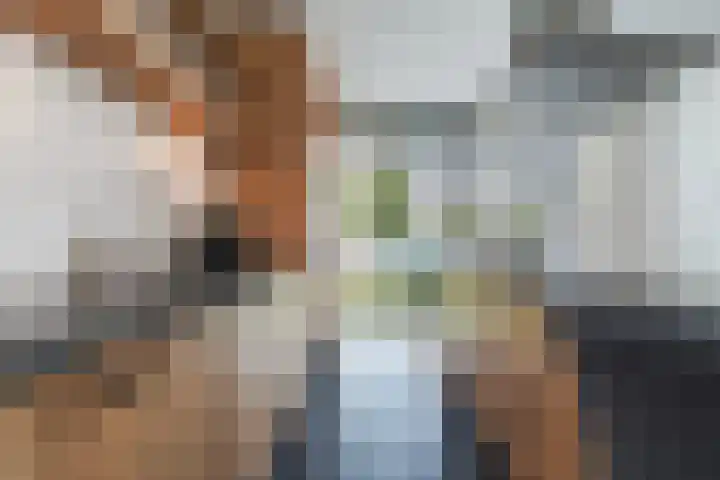 De Hooivork 19 De Moer thumbnail 13
