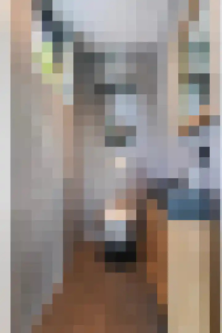 De Hooivork 19 De Moer thumbnail 15