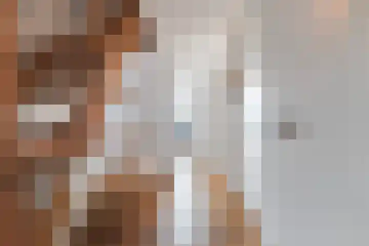 De Hooivork 19 De Moer thumbnail 17