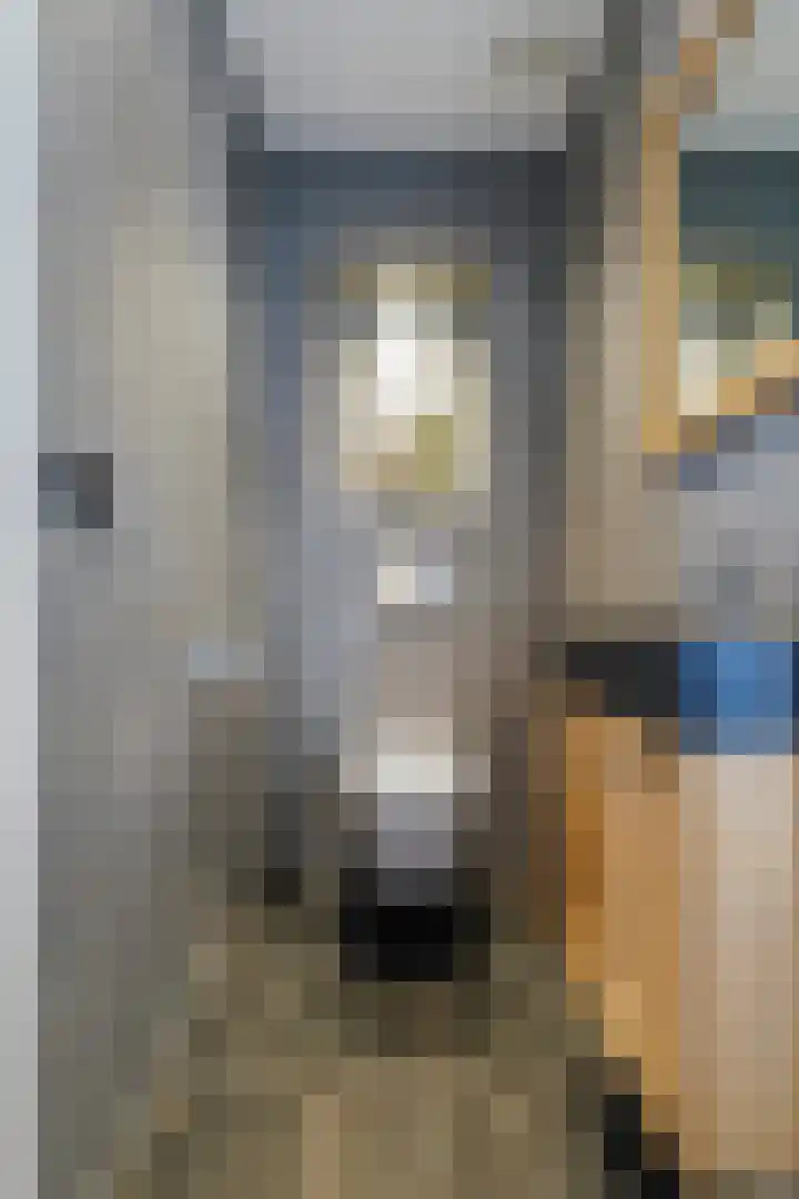 De Hooivork 19 De Moer thumbnail 18