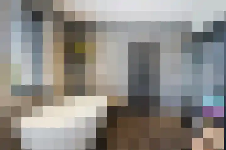 De Hooivork 19 De Moer thumbnail 26