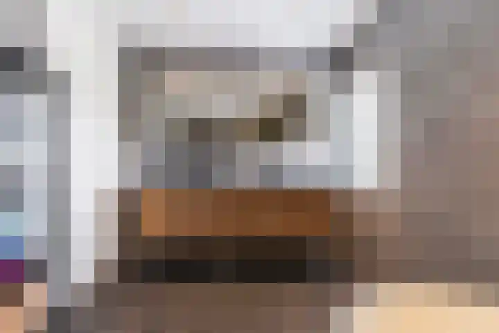 De Hooivork 19 De Moer thumbnail 27