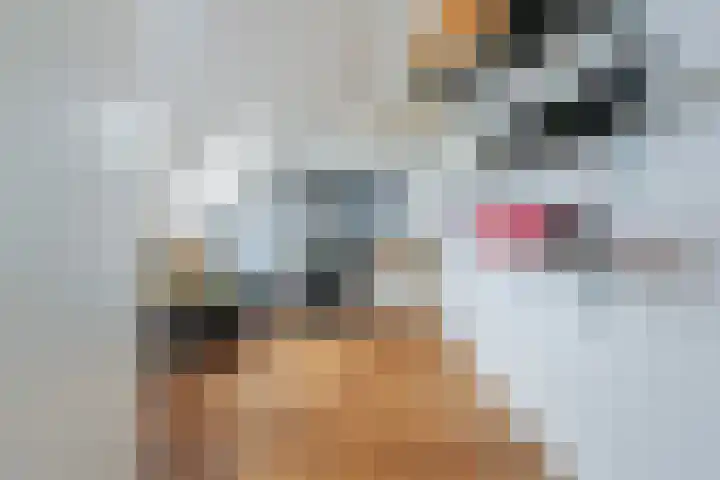 De Hooivork 19 De Moer thumbnail 33