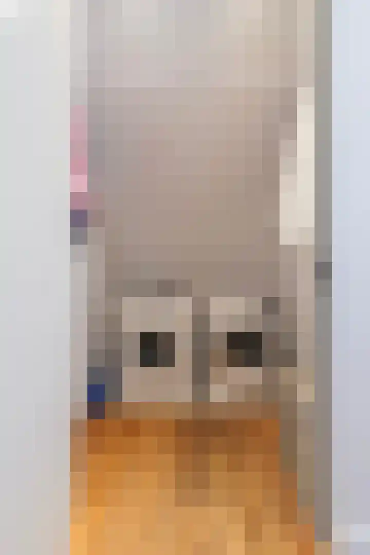 De Hooivork 19 De Moer thumbnail 34