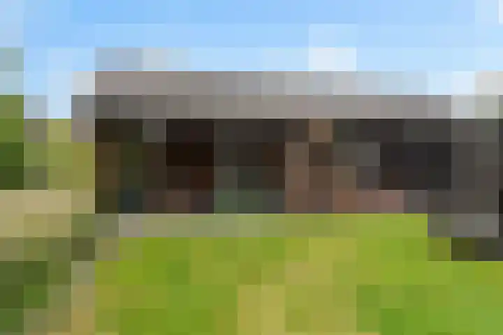 De Hooivork 19 De Moer thumbnail 37