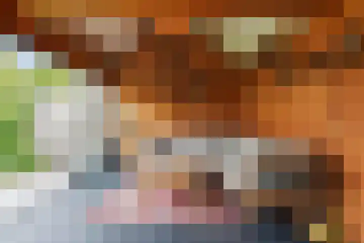 De Hooivork 19 De Moer thumbnail 38