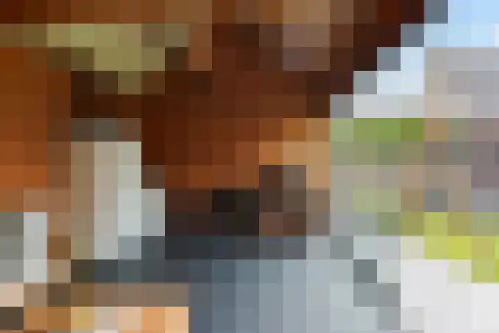 De Hooivork 19 De Moer thumbnail 39