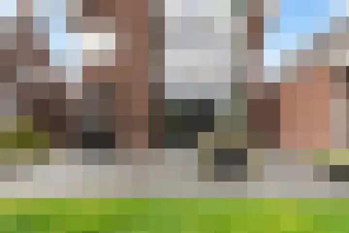 De Hooivork 19 De Moer thumbnail 43