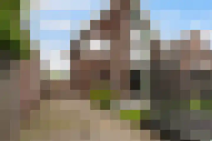 De Hooivork 19 De Moer thumbnail 44