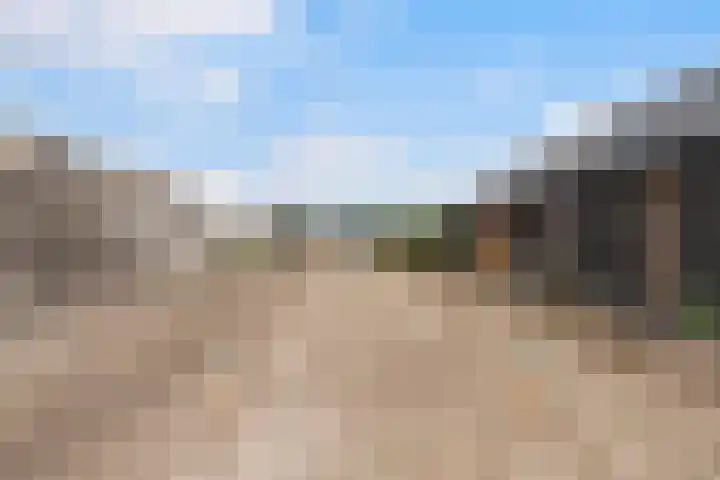 De Hooivork 19 De Moer thumbnail 47
