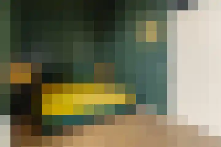 De Hooivork 24 Arnhem thumbnail 18