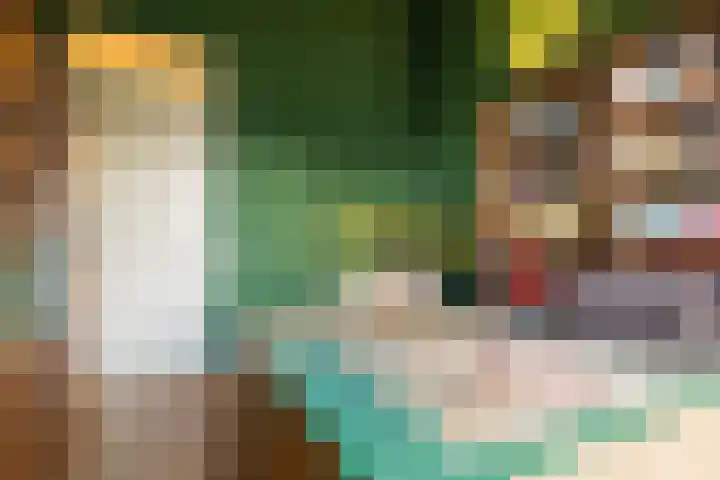 De Hooivork 24 Arnhem thumbnail 21