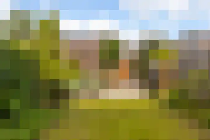 De Hooivork 24 Arnhem thumbnail 26