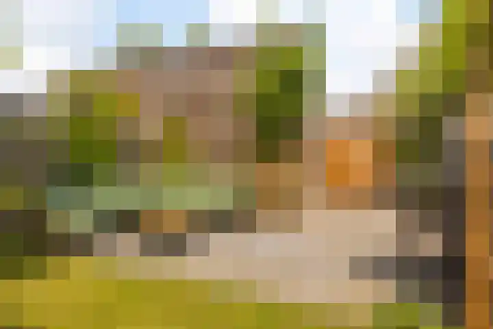De Hooivork 24 Arnhem thumbnail 27
