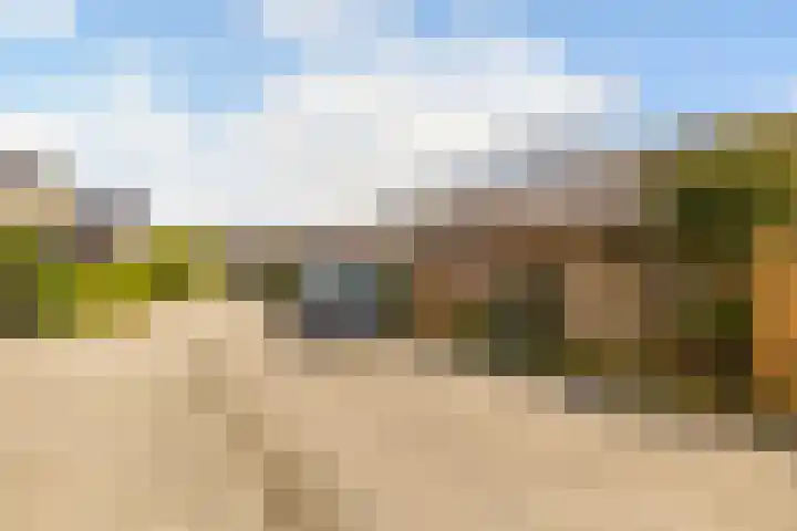 De Hooivork 24 Arnhem thumbnail 29