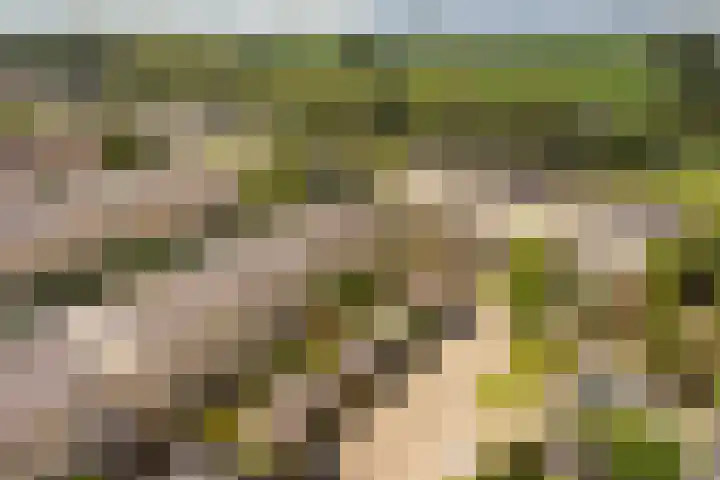 De Hooivork 24 Arnhem thumbnail 33
