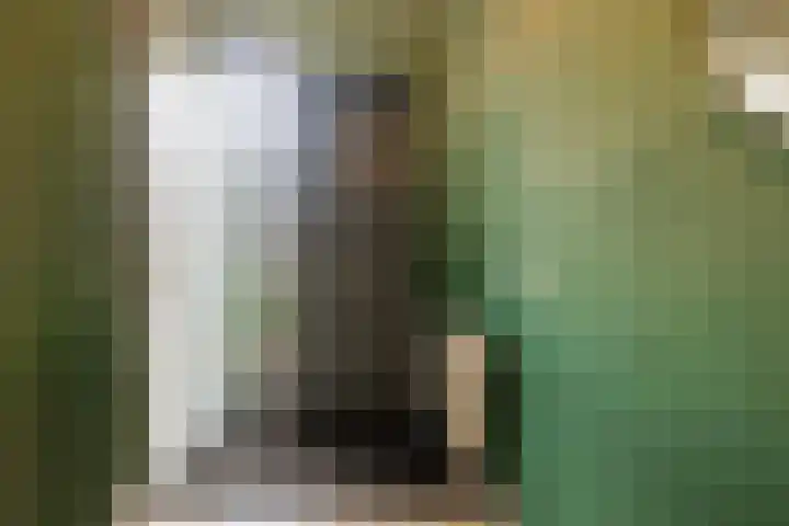 De Hooivork 24 Arnhem thumbnail 5