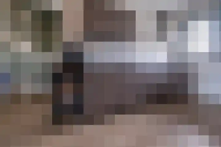 De Hooizolder 13 Tolbert thumbnail 22