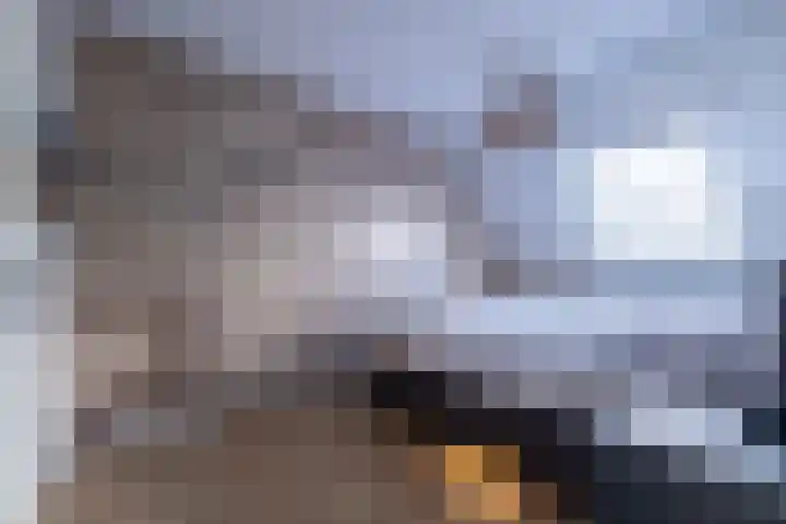 De Hooizolder 13 Tolbert thumbnail 24