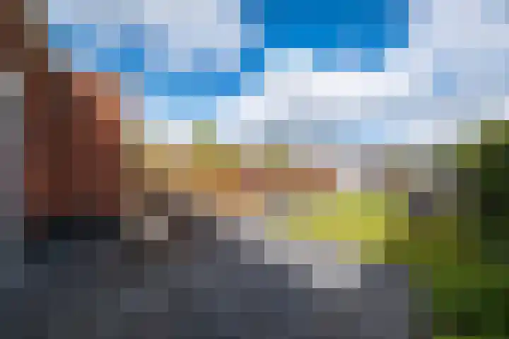 De Hooizolder 13 Tolbert thumbnail 33