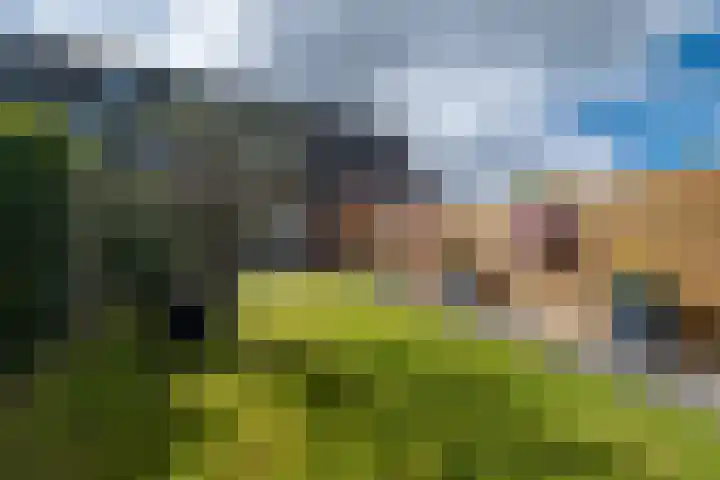 De Hooizolder 13 Tolbert thumbnail 37