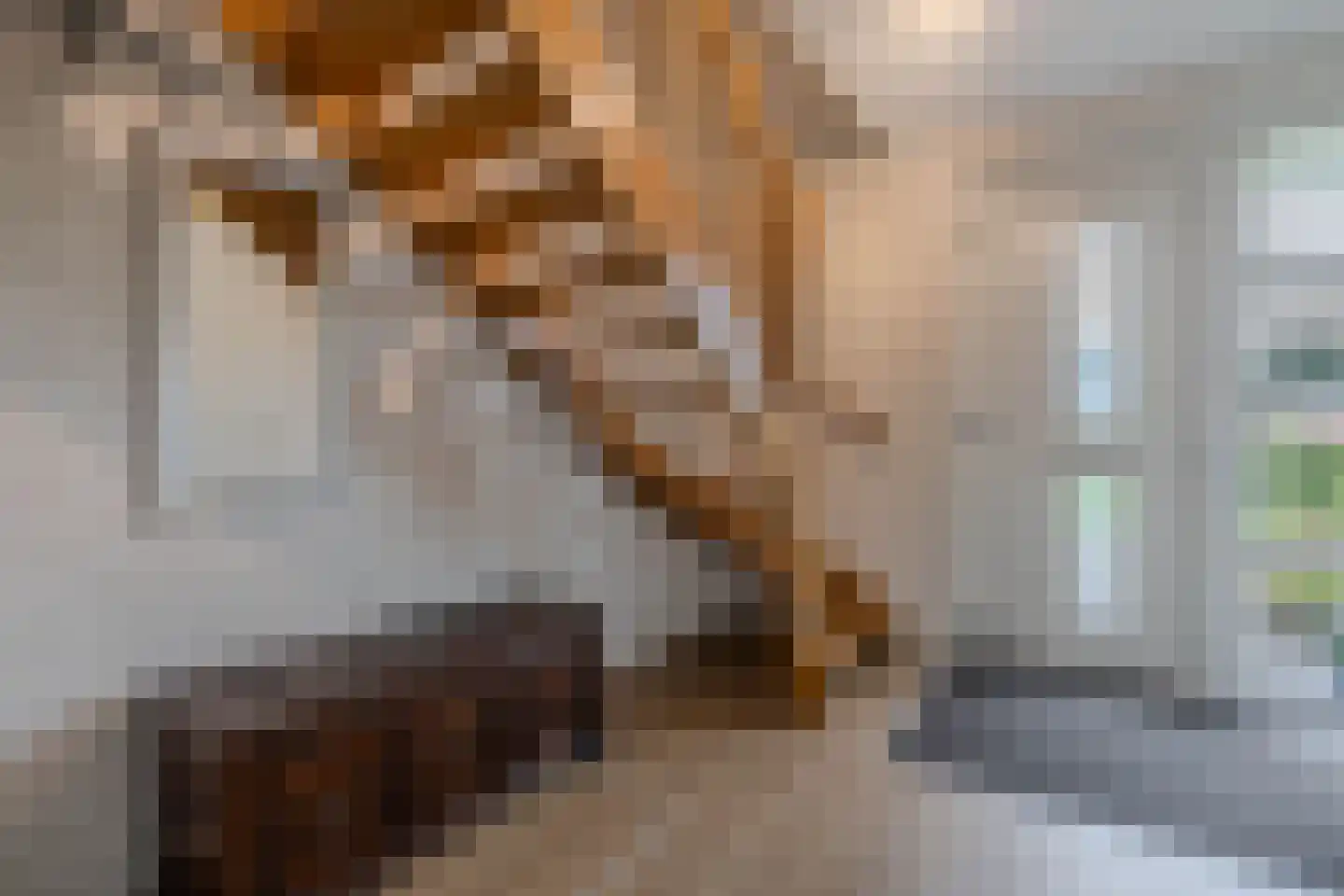 De Hooizolder 33 Tolbert thumbnail 26