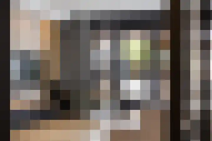 De Hoop 13 Zeewolde thumbnail 14