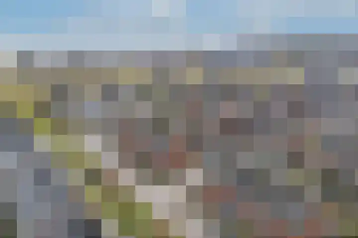 De Hoop 13 Zeewolde thumbnail 5