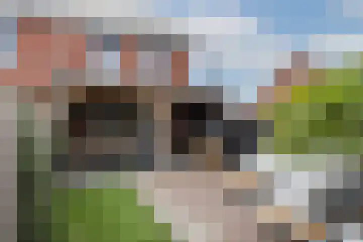 De Hoop 13 Zeewolde thumbnail 50