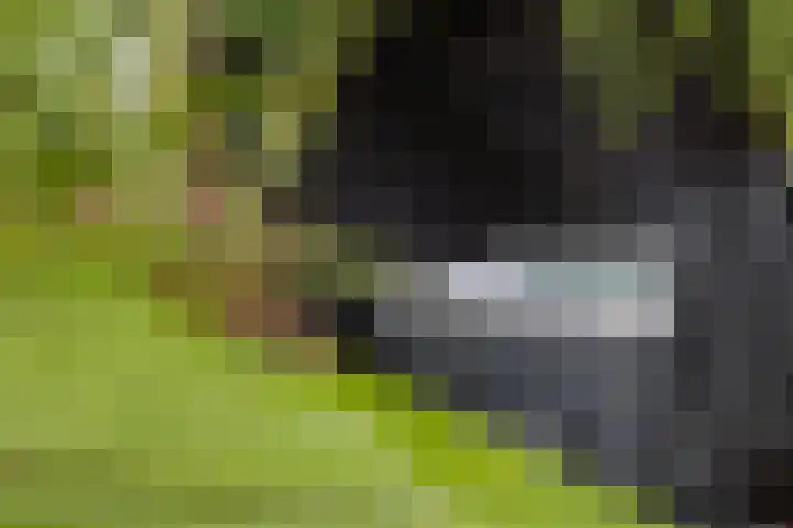 De Hoop 13 Zeewolde thumbnail 52