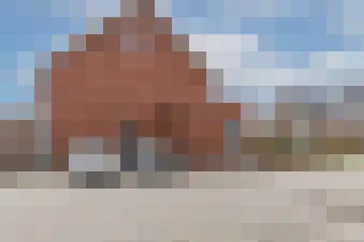 De Hoop 13 Zeewolde thumbnail 57
